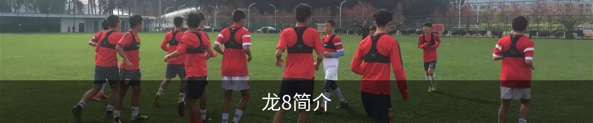 龙8简介